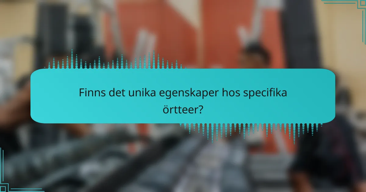 Finns det unika egenskaper hos specifika örtteer?