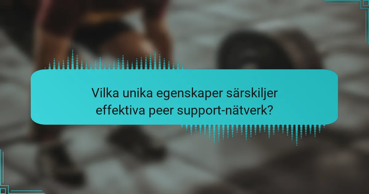Vilka unika egenskaper särskiljer effektiva peer support-nätverk?